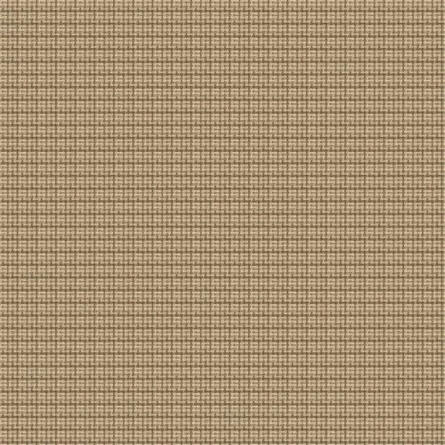 TEJIDO MESQUIDA - Imagen 9